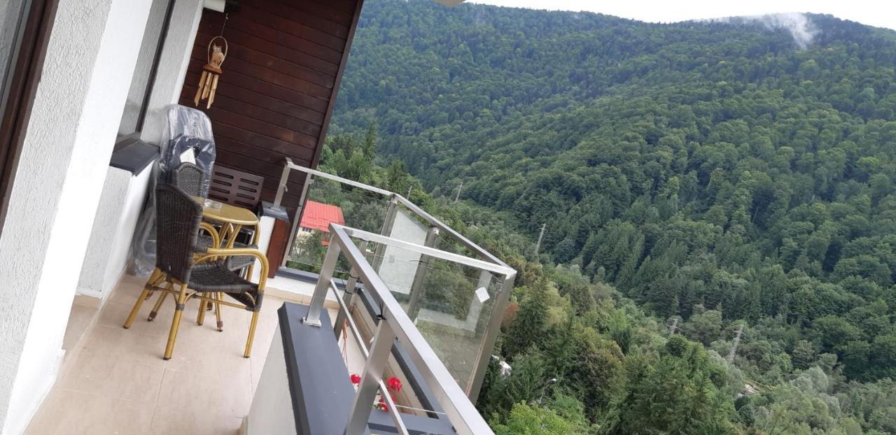Apartment Forest Colina Marei Sinaia